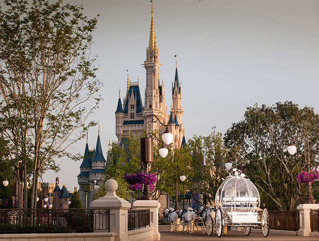 シンデレラ城のもとで愛の誓いを マジック・キングダムで行う結婚