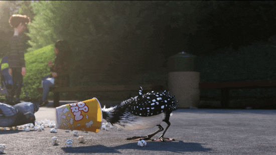 鳥のベッキーは、プロダクションマネージャーの名前