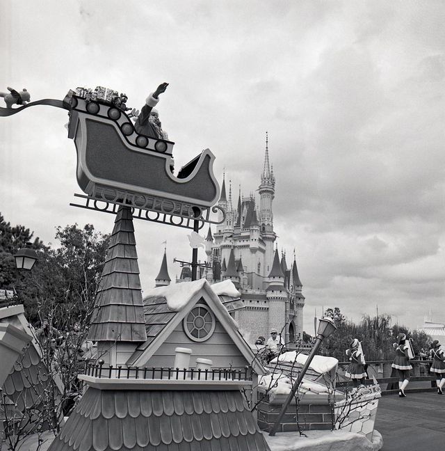 永久保存版 写真で振り返るマジック キングダム ウォルト ディズニー ワールドでの特別なクリスマス Disney Daily