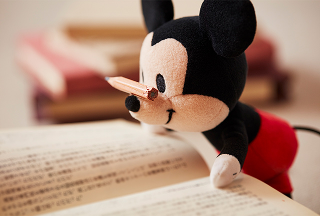 nuiMOsぬいもーずオーディション